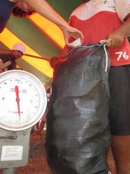 Chaque sac pèse entre 50 et 65 kilos.