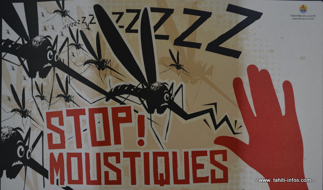 La grande chasse aux moustiques est ouverte en Polynésie