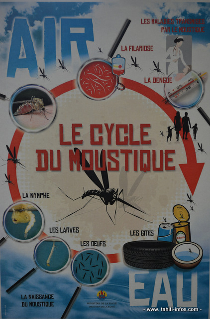 La grande chasse aux moustiques est ouverte en Polynésie