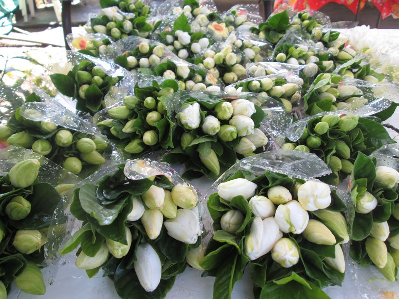 Activité familiale à To’ahotu : Taiana et ses Taina