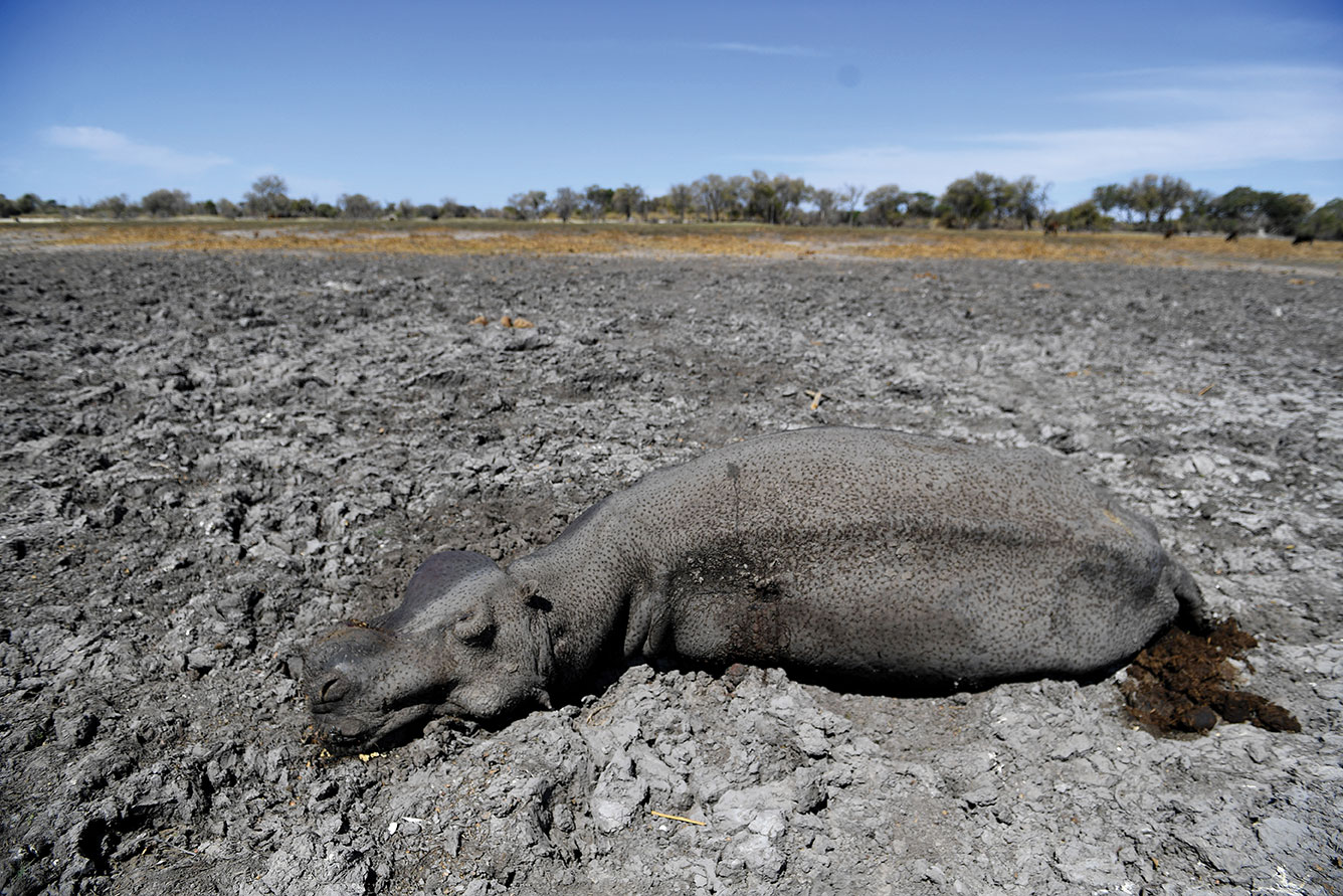 MONIRUL BHUIYAN / AFP
