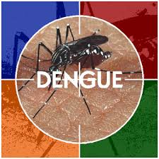 Alerte à la dengue à Fidji