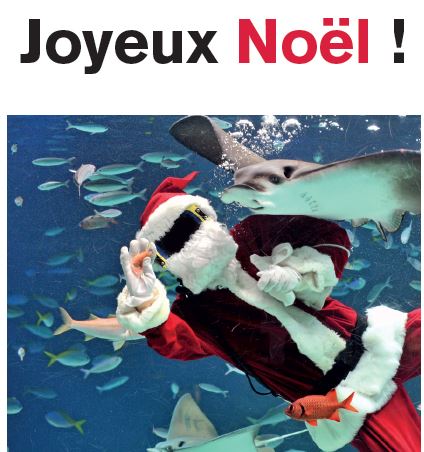 Joyeux Noel!