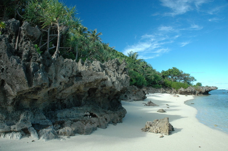 Crédit photo : J. Sekkaki.