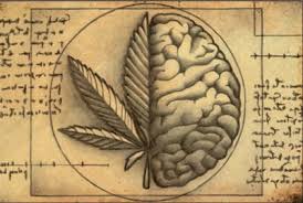 Image d'illustration