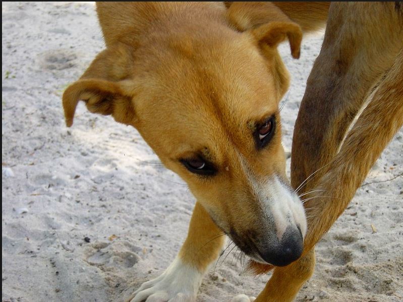 Image d'illustration