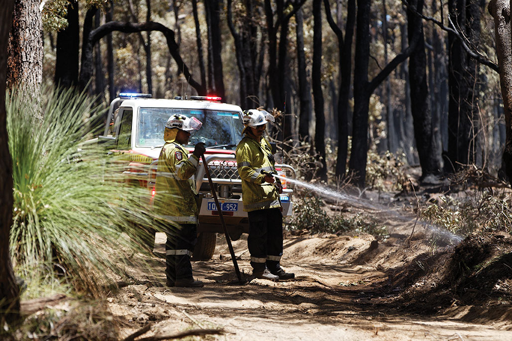 TREVOR COLLENS / AFP