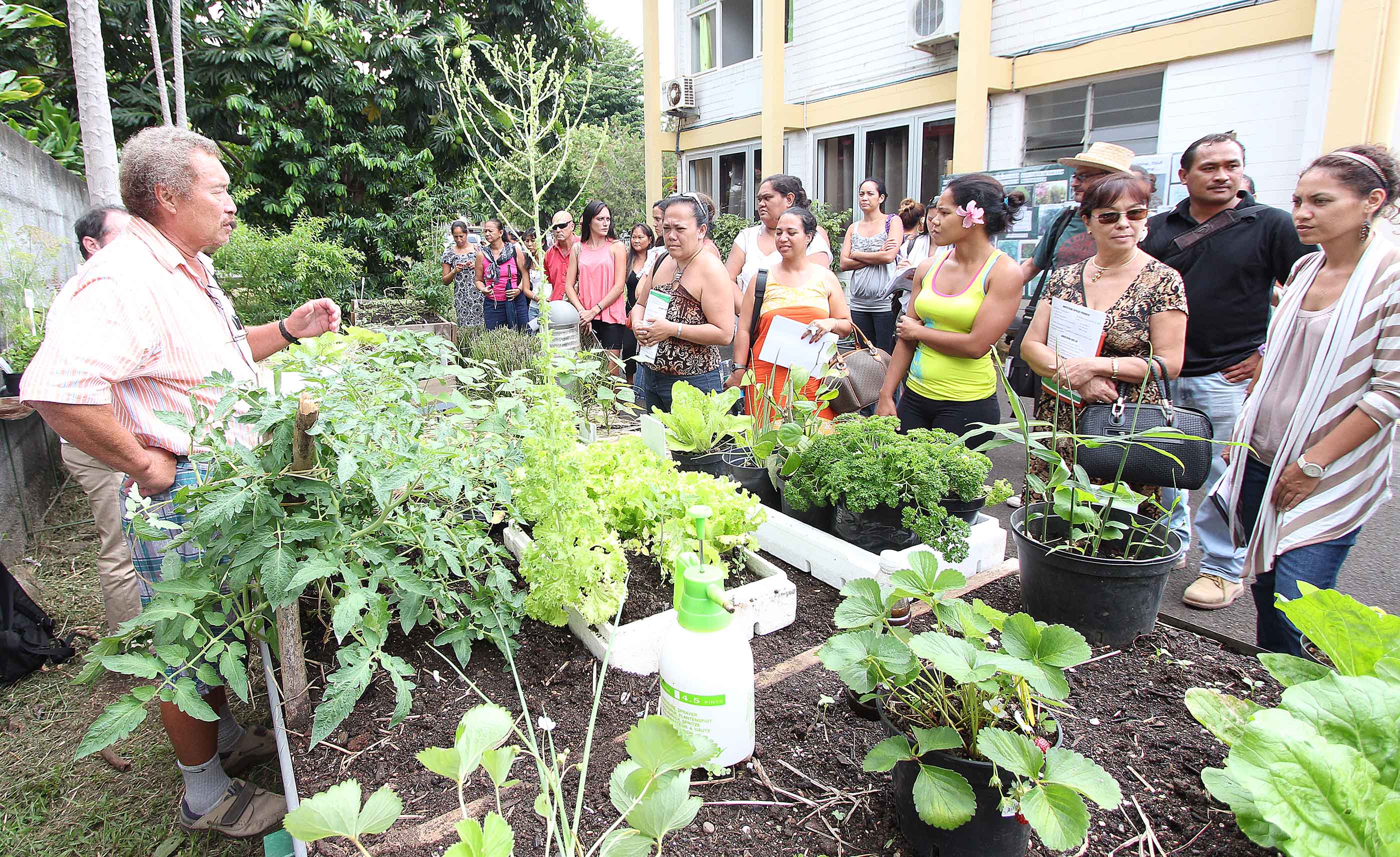 Potagers pédagogiques : formation d’enseignants du 1er degré (communiqué)
