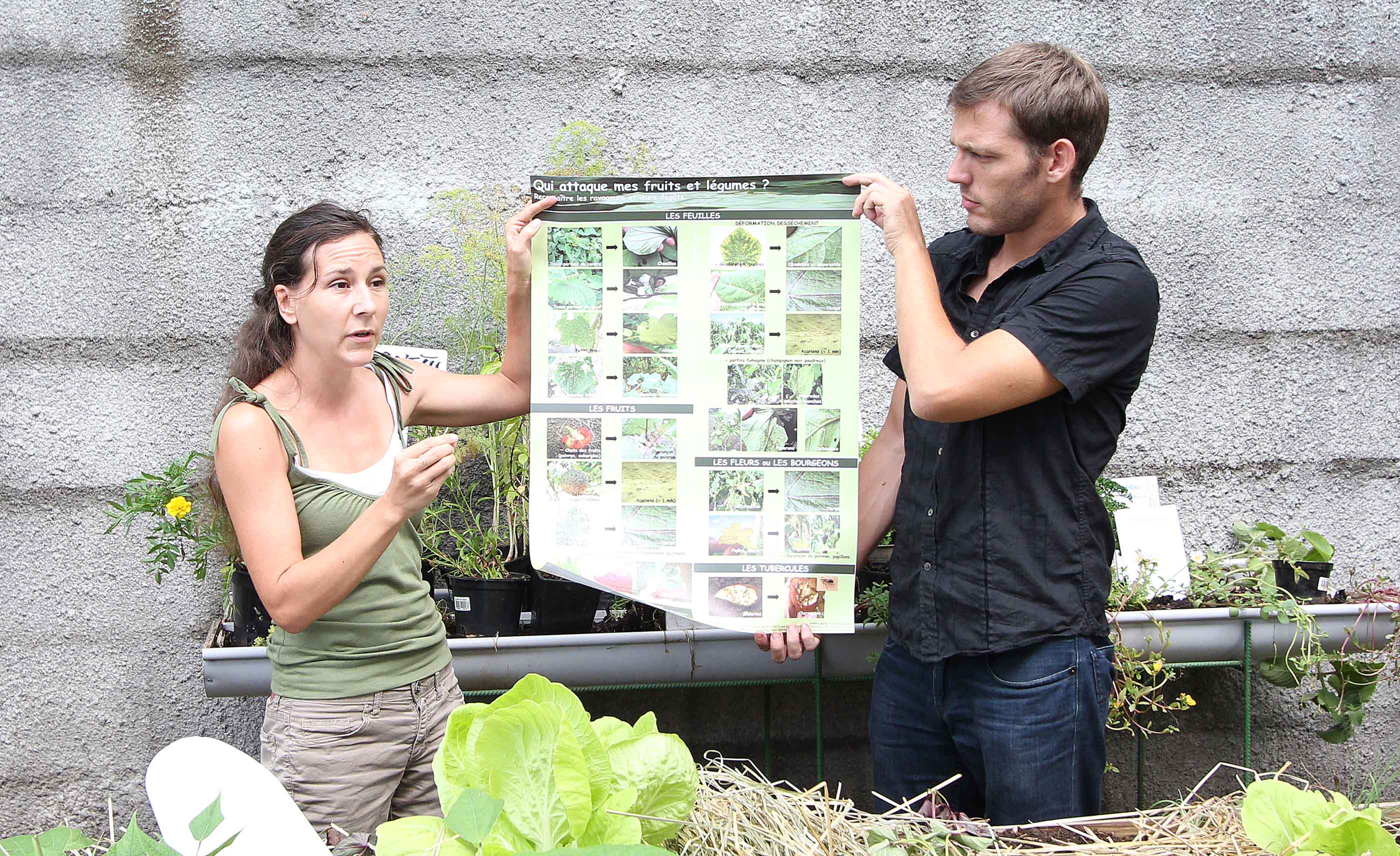Potagers pédagogiques : formation d’enseignants du 1er degré (communiqué)