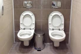 Deux toilettes font le buzz