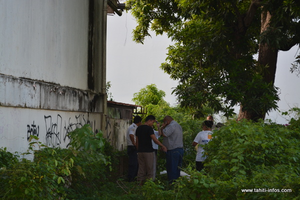 La dépouille d'un homme âgé de 25 à 30 ans avait été découverte mardi à 16 h 30, pendue à un manguier au fond un terrain vague, à proximité du lycée La Mennais