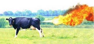 image d'illustration