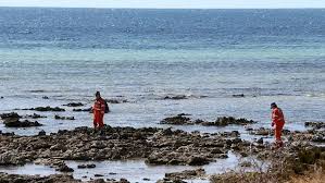 Nouvelle attaque mortelle de requin en Australie