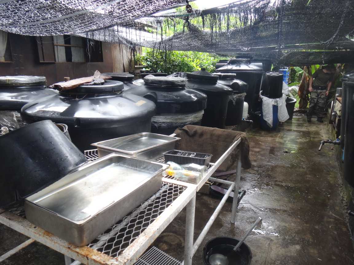 Interpellation d'un producteur de Komo à Huahine