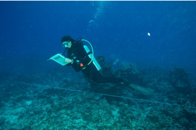 L’Ifrecor lance un nouvel appel à projets