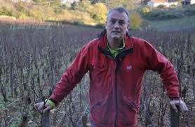 Amende requise contre un viticulteur bio qui a refusé de traiter ses vignes