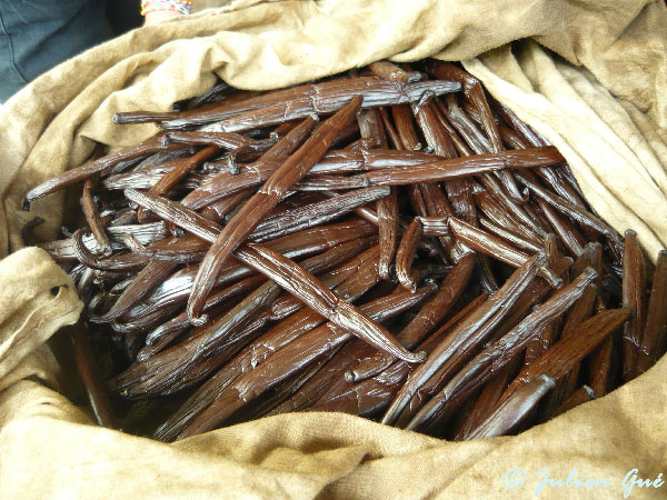 Crédit photo : Julien Gué