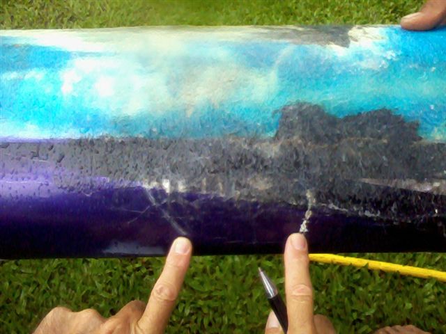 traces de dents sur la pirogue