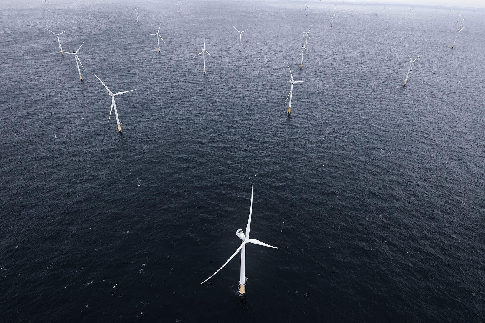 Kenzo TRIBOUILLARD / AFP