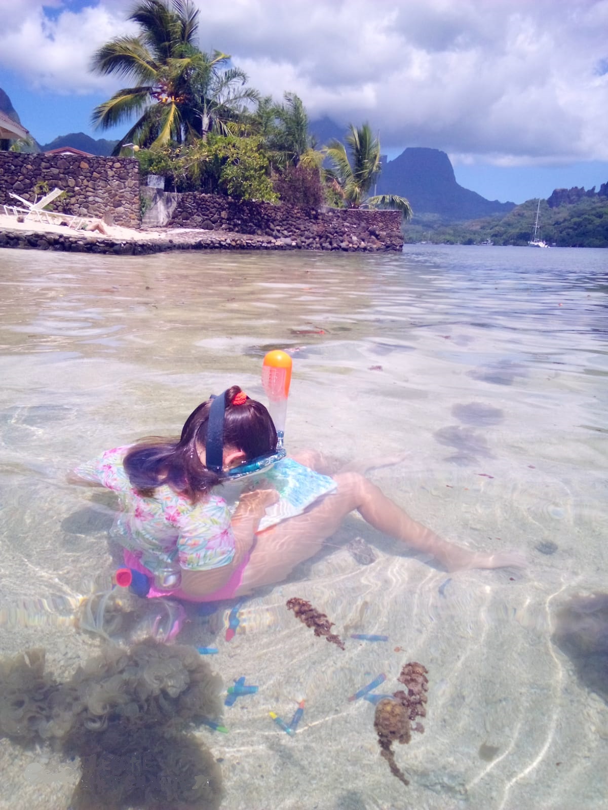 Apprendre à peindre sous l’eau