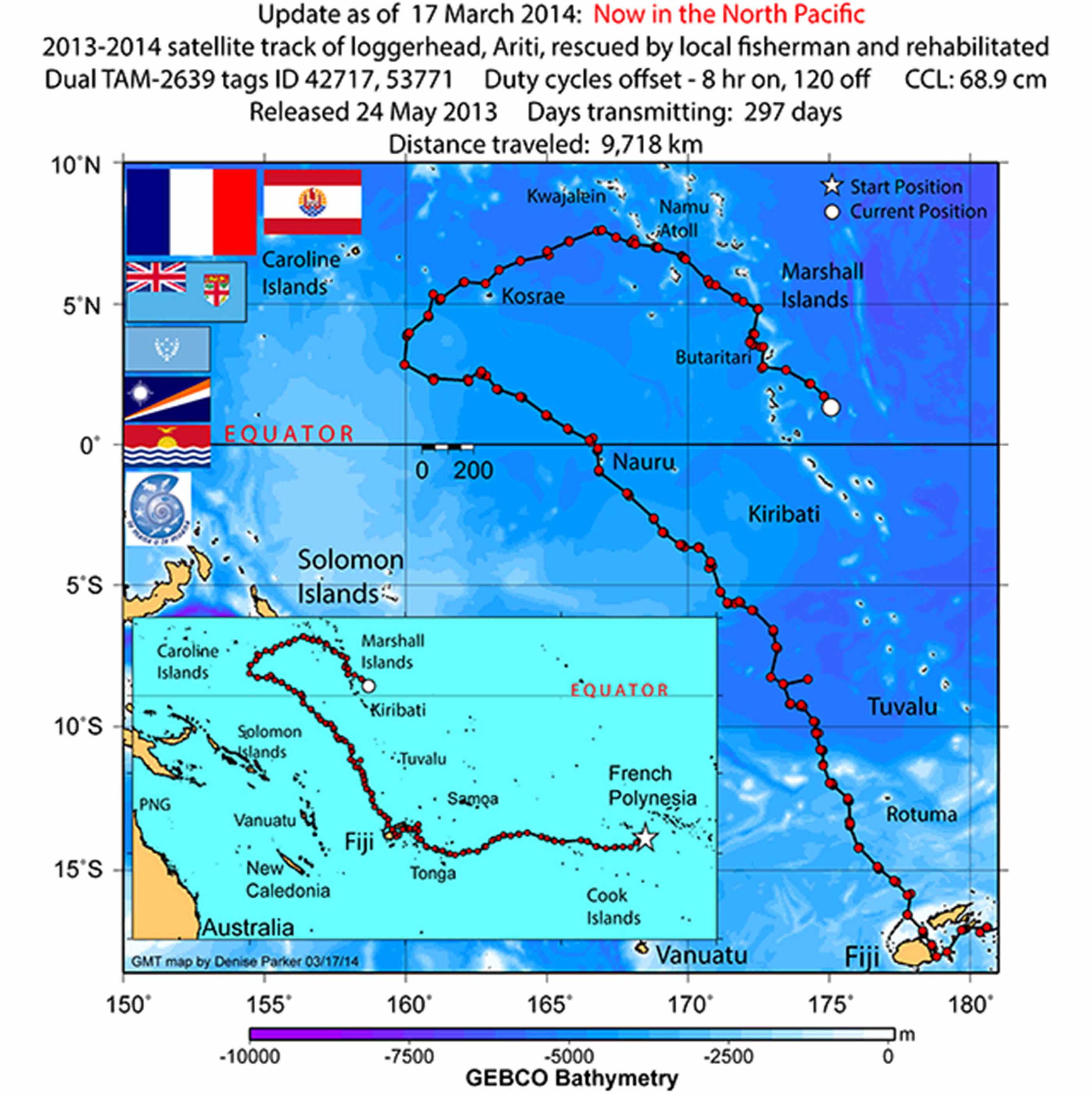 La tortue Ariti a parcouru près de 10 000 Kms