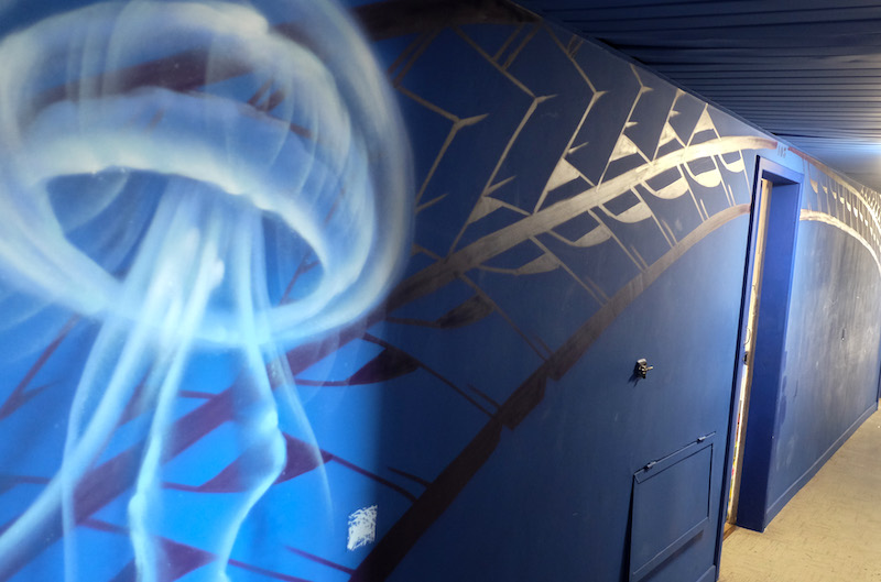 Les animaux choisis ne sont pas forcément ceux que l'on a l'habitude de voir : murène, poissons des abysses, crevettes, méduses …