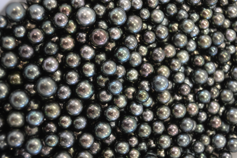 280 000 perles noires produites par un grand nombre de fermes perlicoles, ont trouvé des acquéreurs pour 97 % d'entre elles.