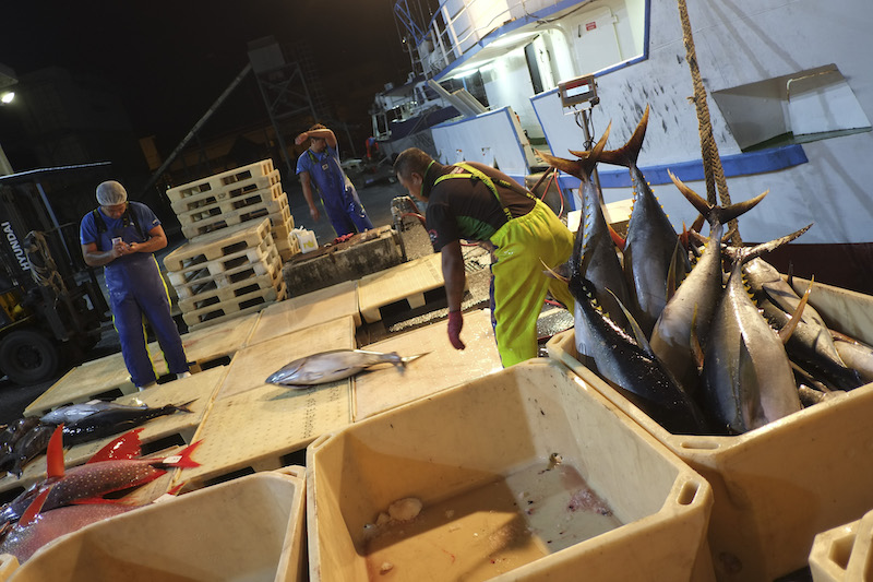 Le rebond des exportations de la pêche polynésienne dès 2021