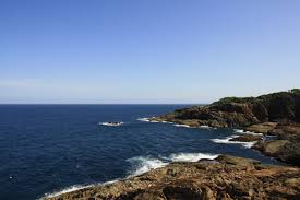 Une femme de 60 ans emportée par un requin dans le sud de l'Australie