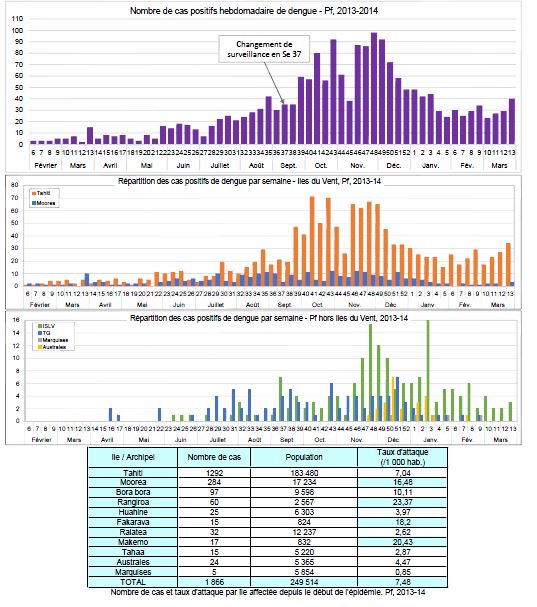 Dengue en Polynésie: l'épidémie persiste et s'aggrave