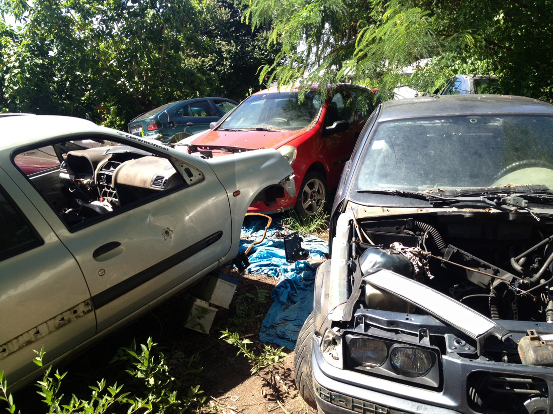 Illustration carcasse Arue