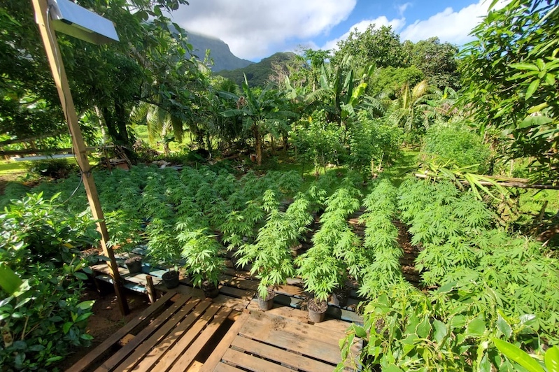 ©Gendarmerie nationale