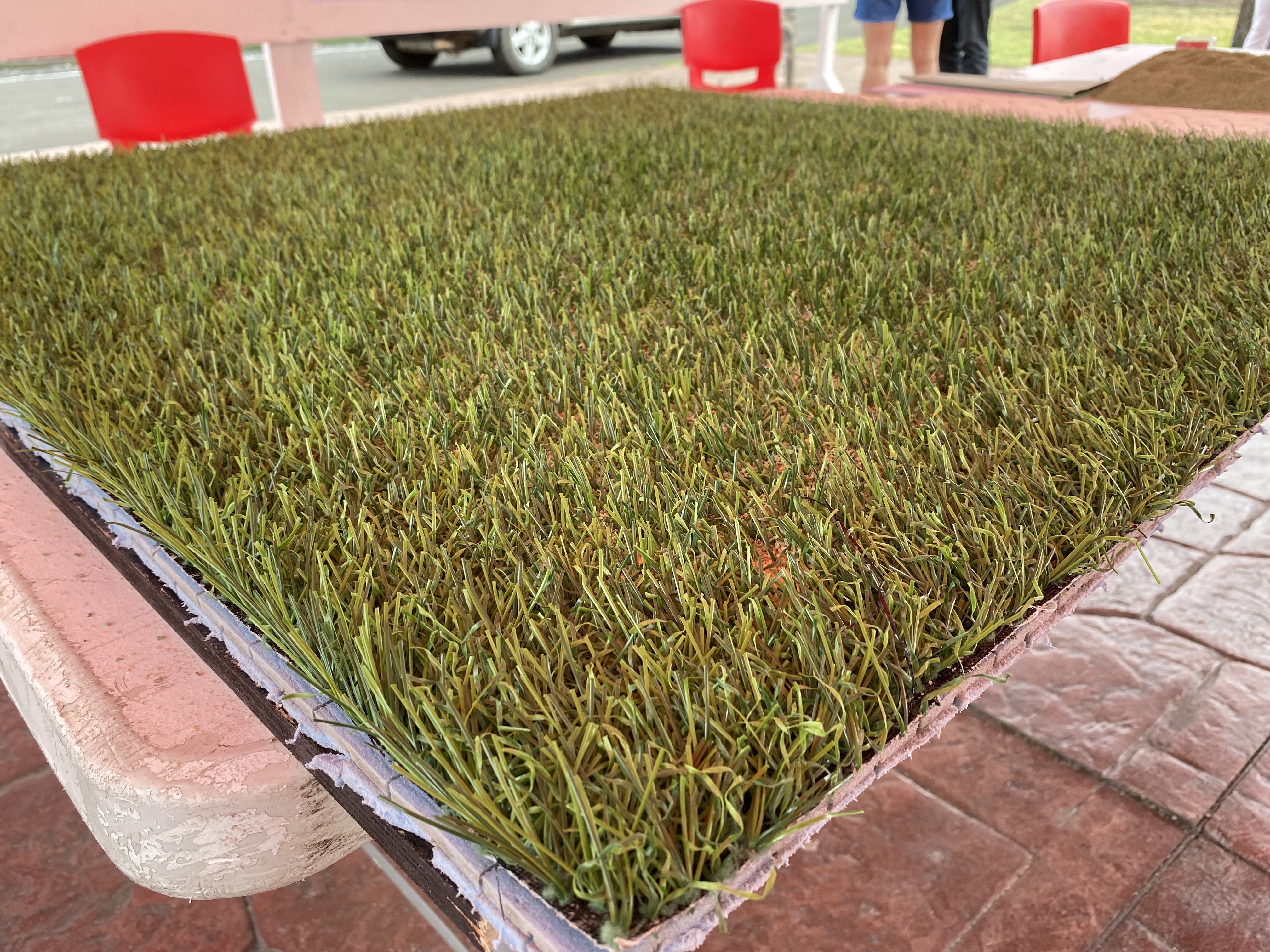 Le “lifting complet” de Bambridge terminé à la fin de l'année