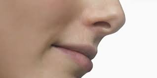 Nez et vagin : de nouvelles avancées grâce à l'ingénierie tissulaire