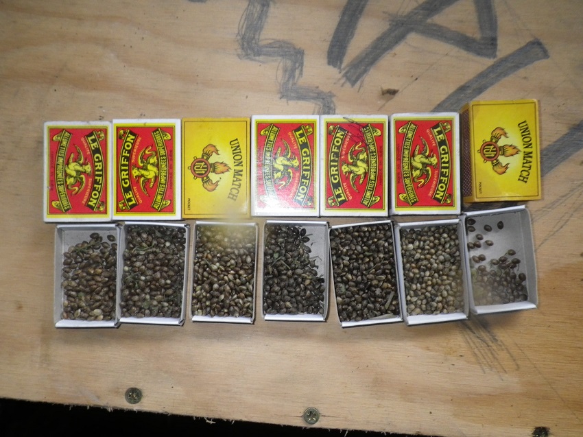 Des boîtes de paka dans une voiture