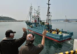 Une flottille baleinière japonaise lève l'ancre, trois semaines après le verdict de la CIJ