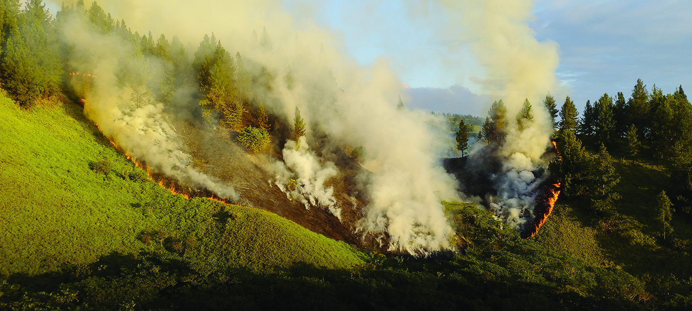 (Photo : Sandrine Picard Ceccarelli).