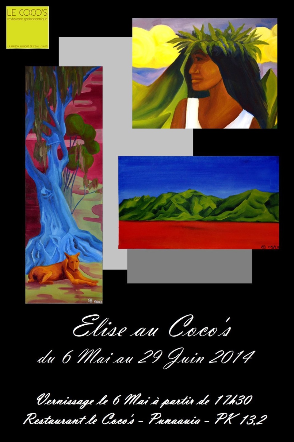 Exposition d'Elise Bertret au Coco's du 6 mai au 29 juin 2014
