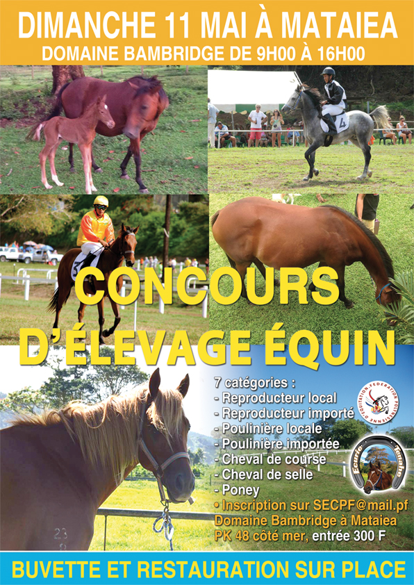 Premier concours d'élevage équin dimanche à Mataiea