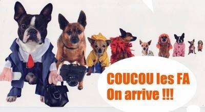 Eimeo Animara recherche famille d'acceuil