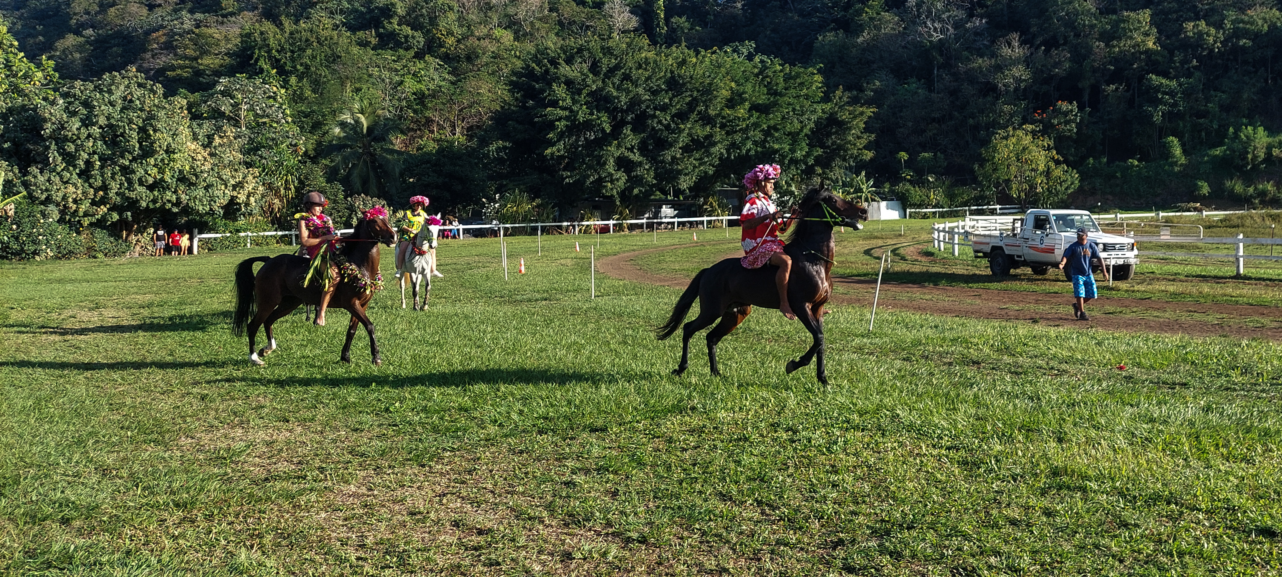 Pari gagnant pour les courses hippiques du Heiva