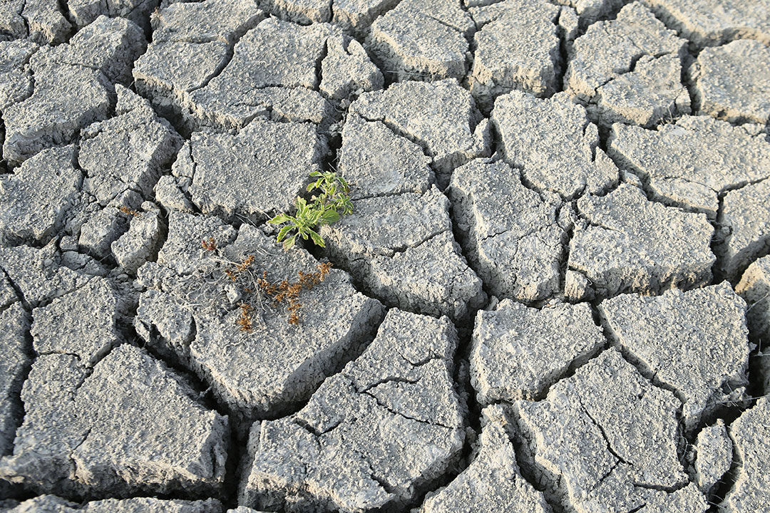 Pascal POCHARD-CASABIANCA / AFP