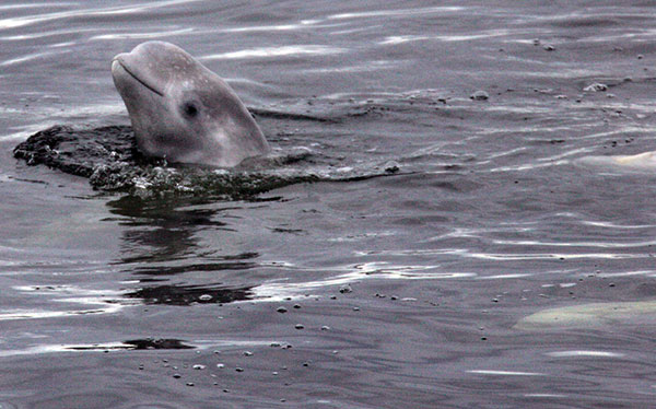 DMITRY KOSTYUKOV / AFP