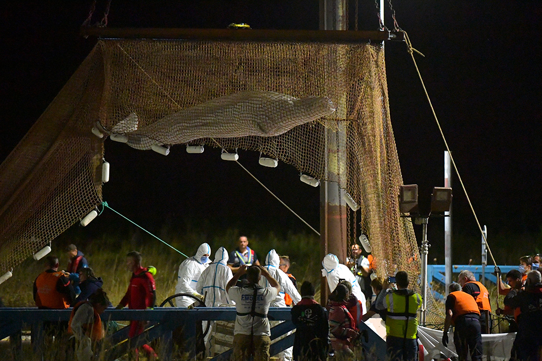 JEAN-FRANCOIS MONIER / AFP