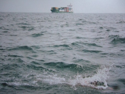Un bateau de glace fond dans la Manche