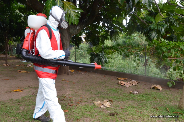 Un agent de la lutte anti-vectorielle sur le terrain à Pirae, vendredi matin.