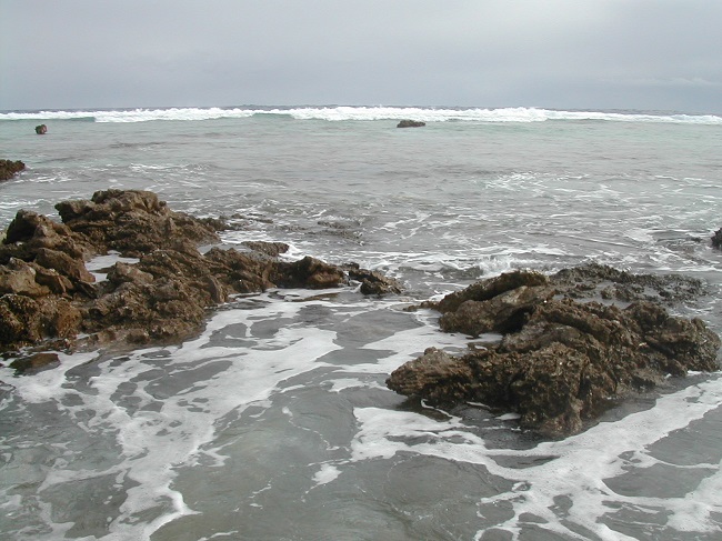 Hao (image d'illustration).