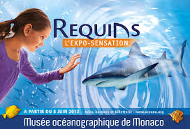 Musée océanographique de Monaco: des artistes chinois veulent réconcilier hommes et requins