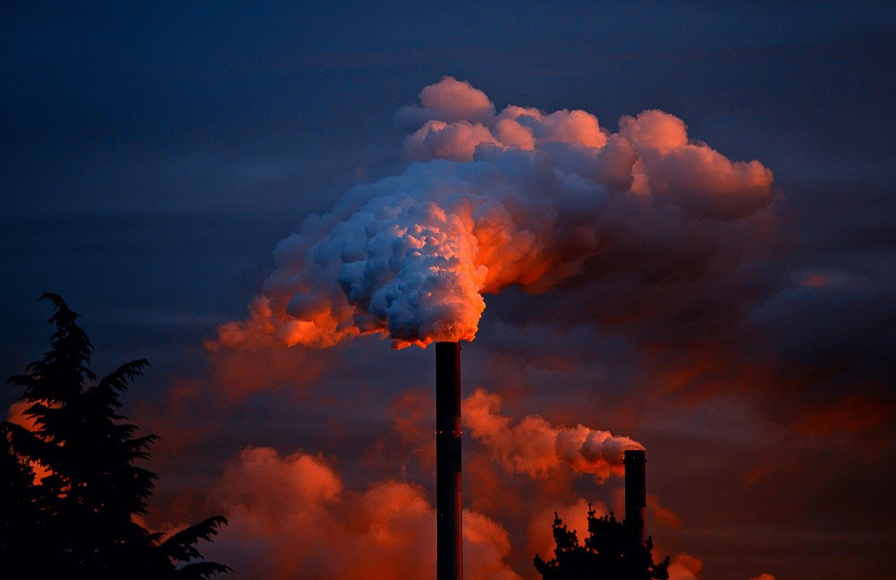 Des scientifiques dévoilent comment la pollution de l'air peut provoquer certains cancers du poumon