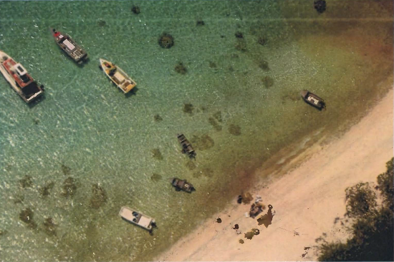 Jusqu'à 12 mois ferme pour les braconniers de tortues